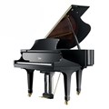 پیانو آکوستیک-Piano Acoustic