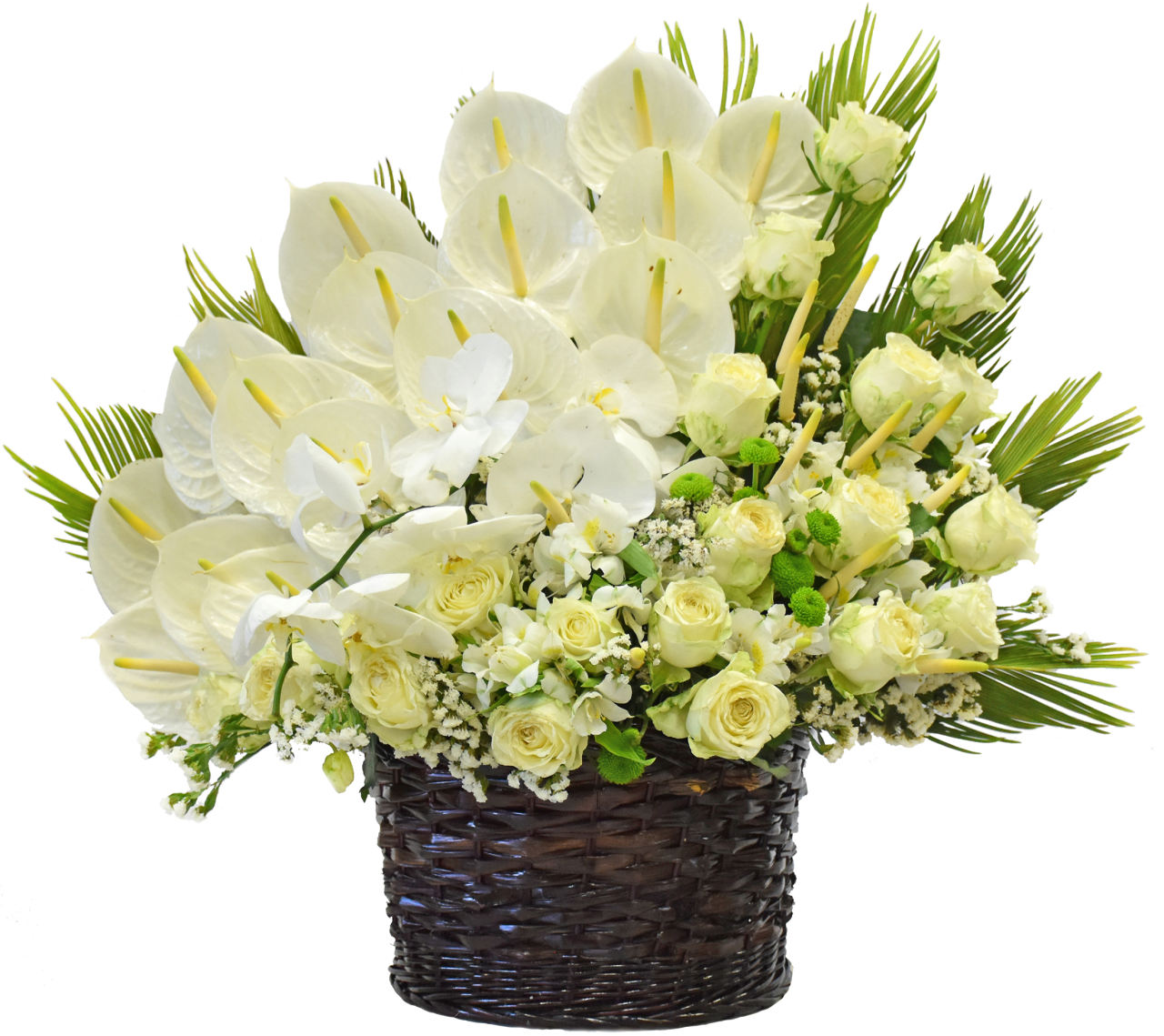 گل های طبیعی برند نامشخص-- سبدگل طبیعی ارکیده فالانوپسیس-آنتوریوم-آلستر-داوودی-رزمدلS.T.01