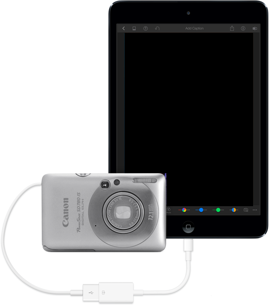 عکس کابل اتصال آیپد-ipad - Apple / اپل Lightning to SD Card Camera Reader