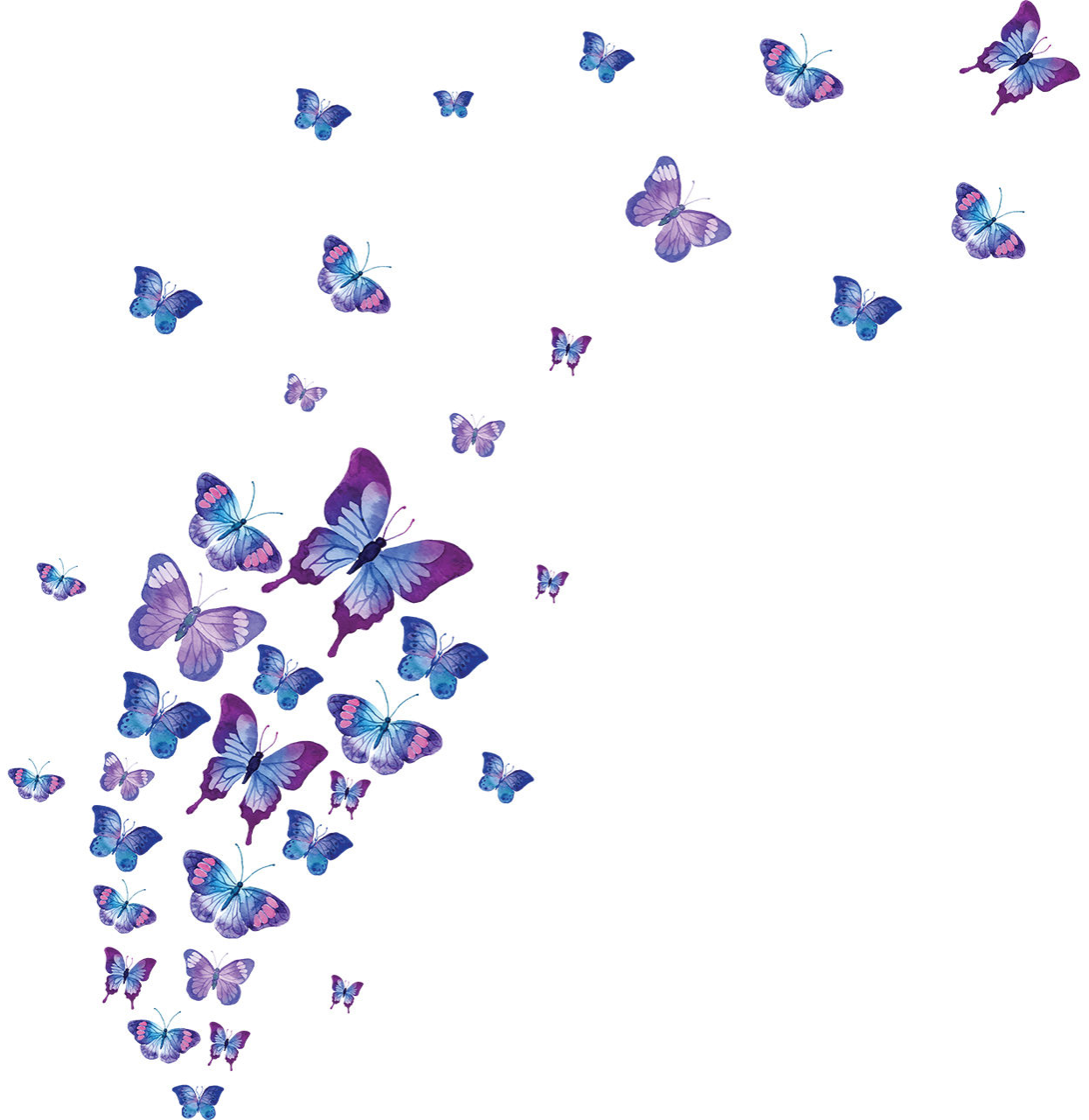 برچسب -استیکر- پوستر دیواری -صالسو آرت استیکر دیواری طرح blue butterfly saliپروانه های آبی