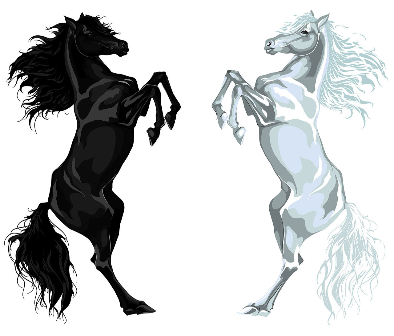 برچسب -استیکر- پوستر دیواری -صالسو آرت استیکر دیواری طرح black and white az اسب سفید و سیاه