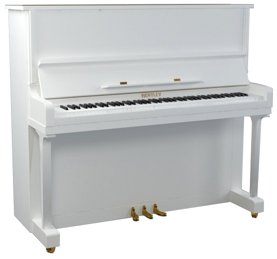 پیانو آکوستیک-Piano Acoustic بنتلی-Bentley B5-125 SUNSTAIN