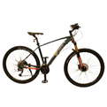  دوچرخه کوهستان دبلیو استاندارد مدل PROT1 سایز 27.5