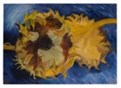  تابلو نقاشی گل های آفتاب گردان تکنیک رنگ روغن - مستطیل - کد A14