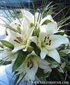  دسته گل عروس لیلیوم H 516