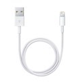  (Lightning to USB Cable (0.5 m