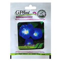  بذر گل نیلوفر گل درشت آبی گلبرگ پامچال کد GPF-275