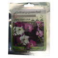  بذر گل اطلسی ایرانی گلبرگ پامچال مدل GP07