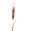  شاخه گل مصنوعی مدل wheat-copper