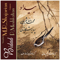  آلبوم موسیقی بیداد - محمدرضا شجریان