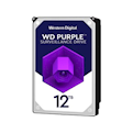 12TB - Purple 